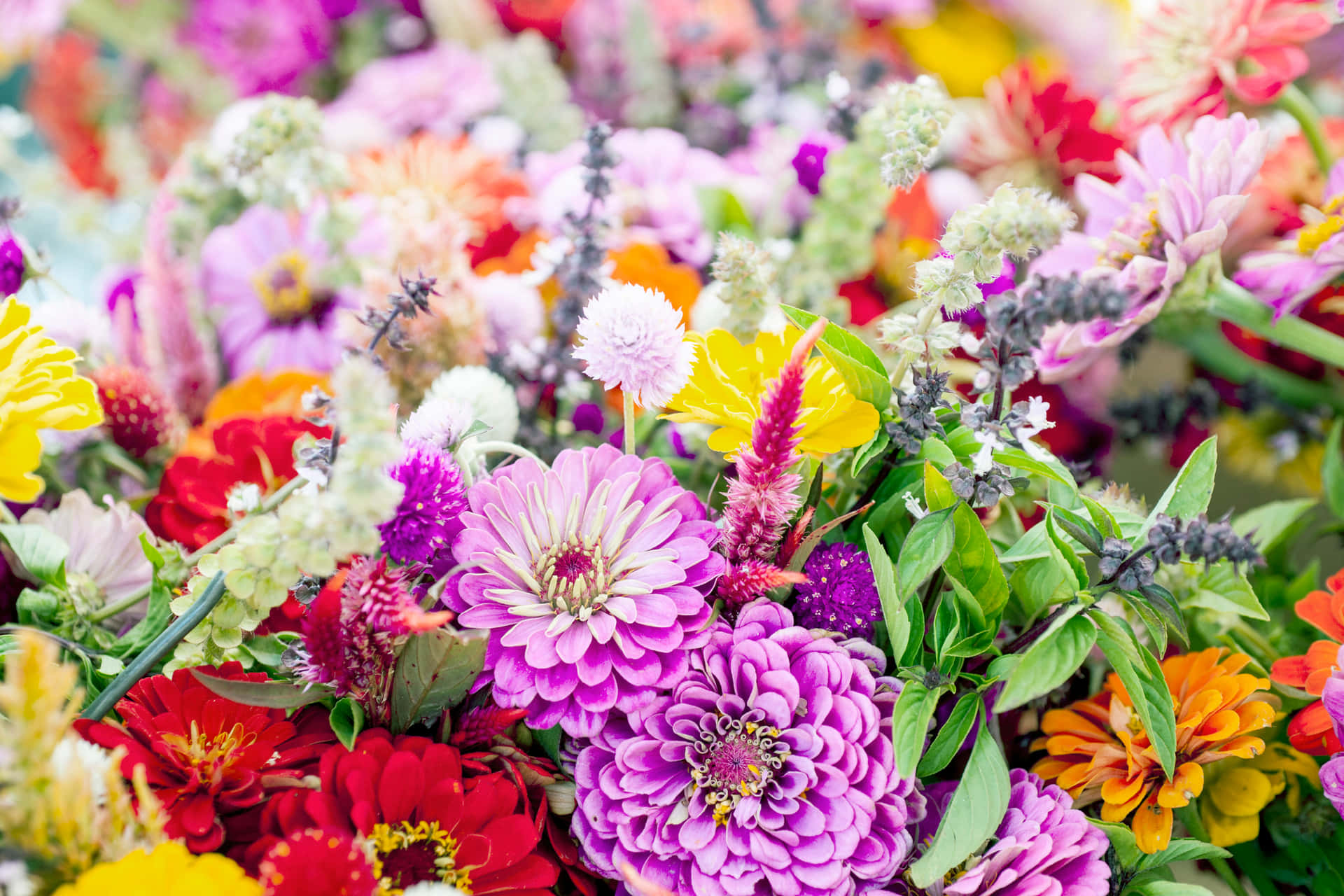 Seasonal Flowers