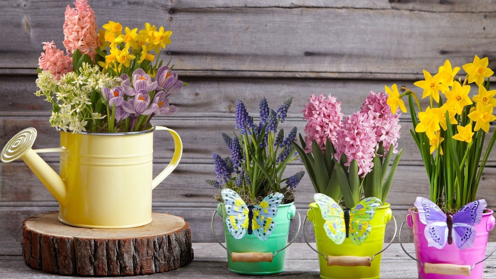 Spring Collection