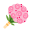 Bloom Haven